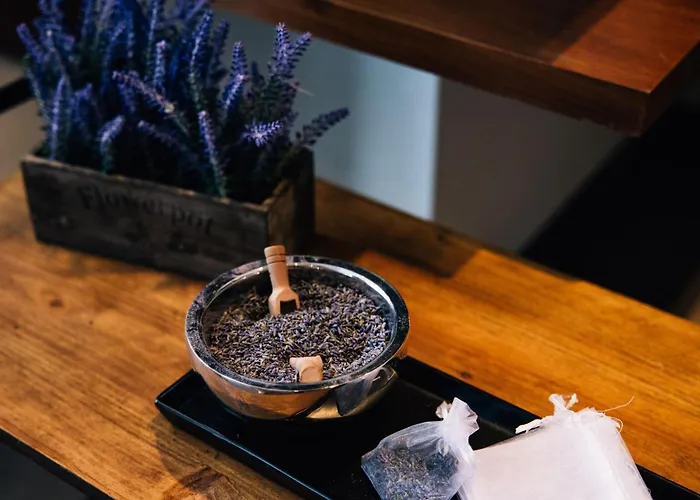 Pet Friendly hotel: Ac Hotel By Marriott Denver Downtown